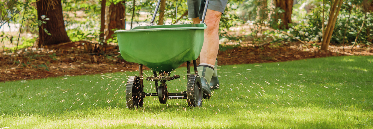 How To Fertilize Your Lawn