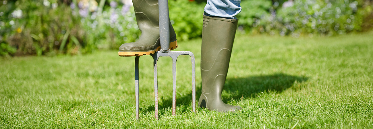 Lawn Aerating 101