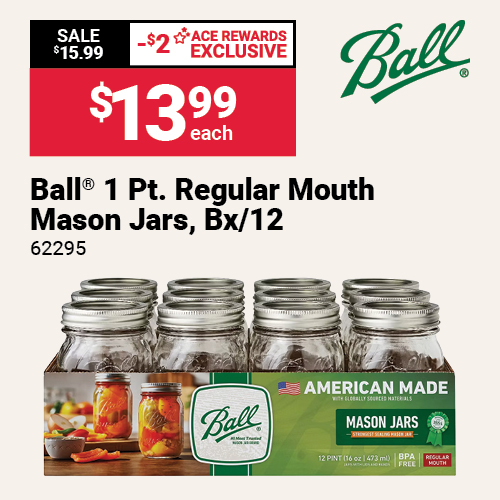 Ball® 1 Pt. Regular Mouth Mason Jars, Bx/12