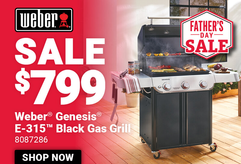 Weber® Genesis® E-315™ Gas Grill