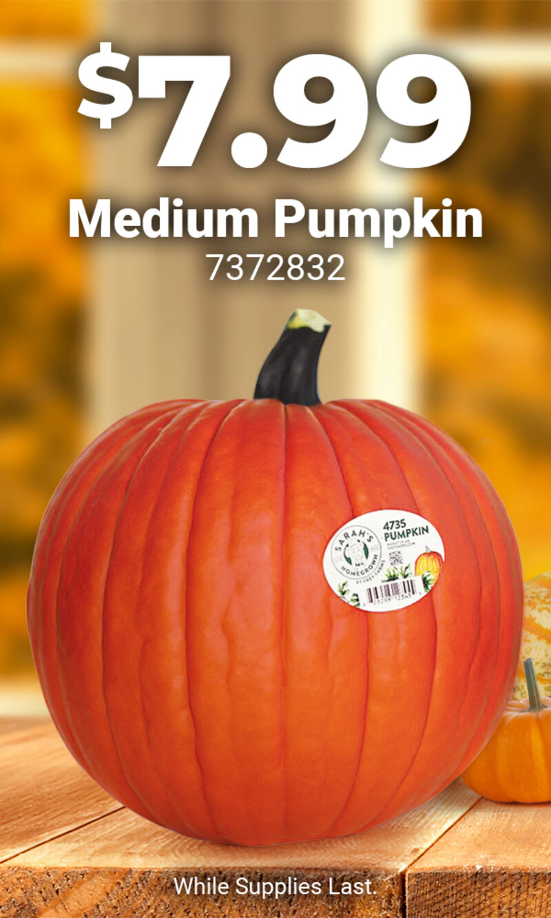 Medium Pumpkins - 7372832