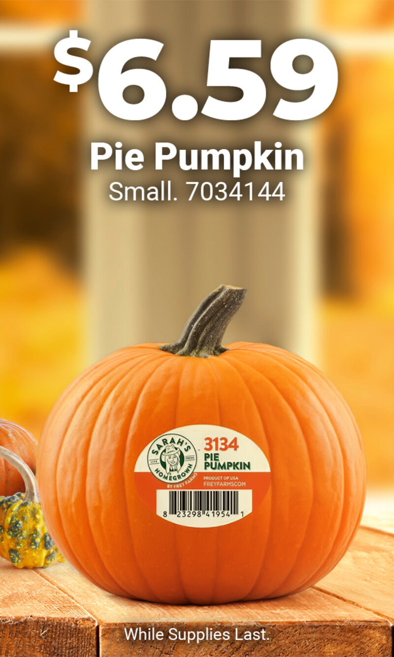 Pumpkin Pie Small - 7034144