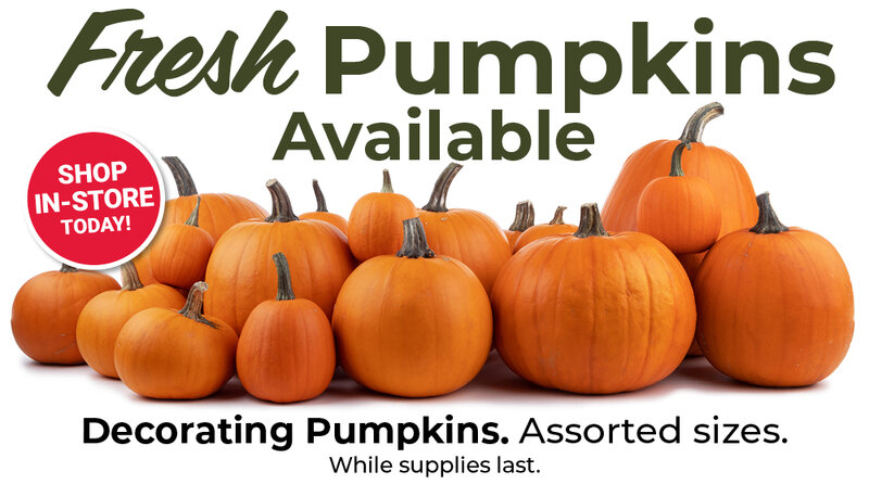 Fresh Pumpkins Available