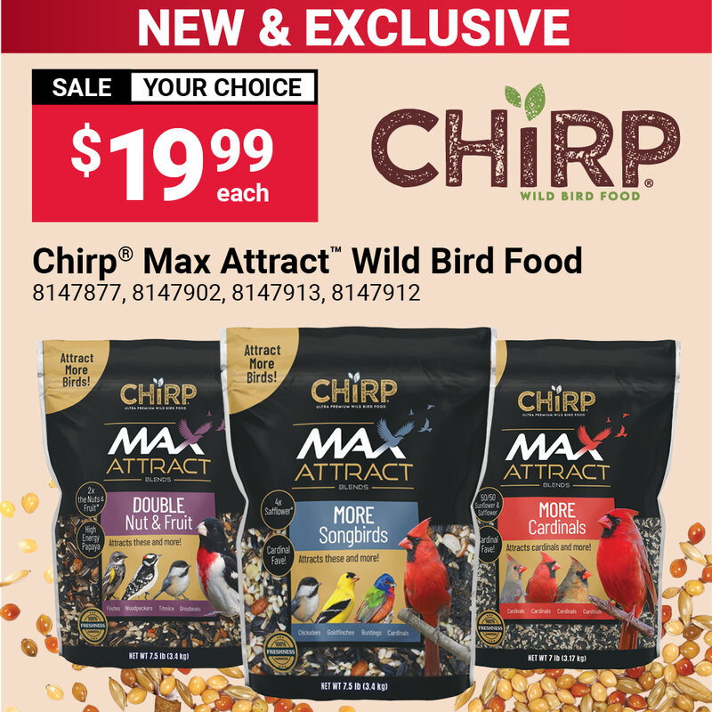 Chirp® Max Attract™ Wild Bird Food