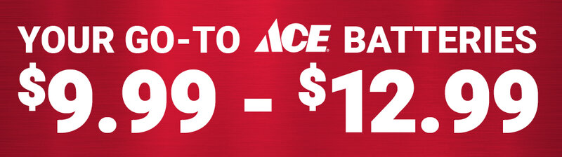 ACE® AA Batteries, 16/Pk.